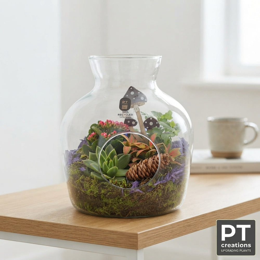 Indoor Plant Arrangement in Recycled Glass – 23cm