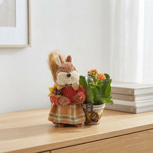 Kalanchoe Plant Arrangement – 14cm Pot