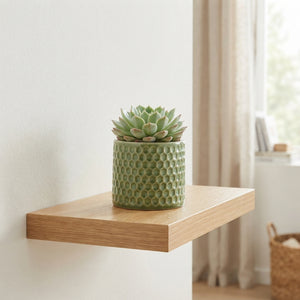 Mixed Succulent Arrangement in Ceramic Pot – 10cm
