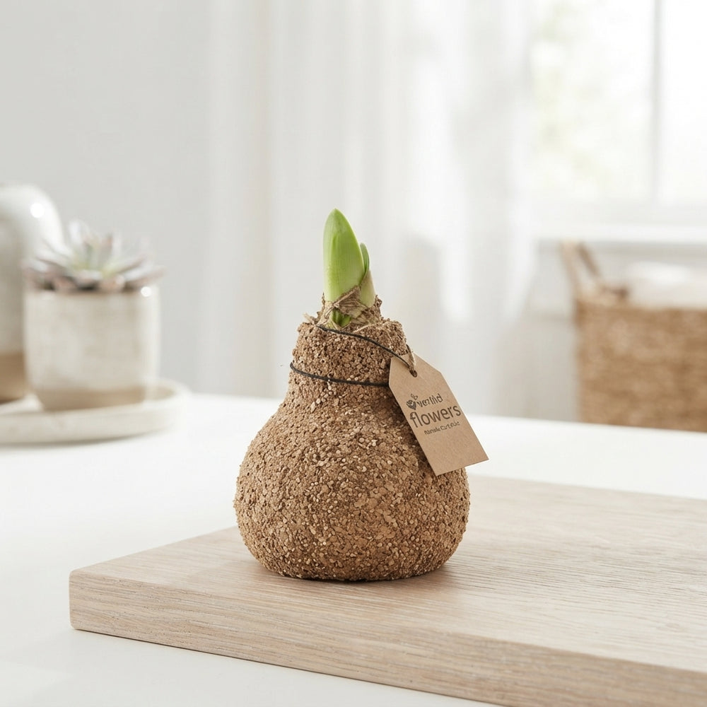 Natural Wax-Covered Cork Mix – 32cm