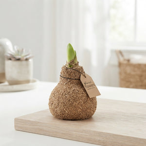 Natural Wax-Covered Cork Mix – 32cm