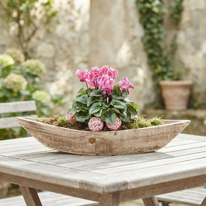 Outdoor Plant Arrangement in Extra-Large Wooden Boot – 56cm