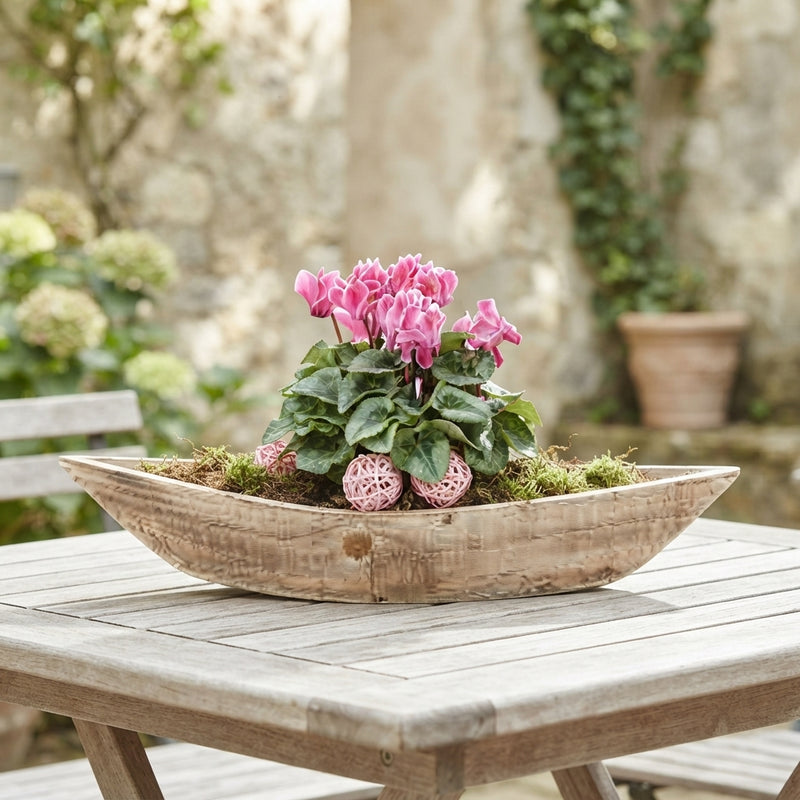Outdoor Plant Arrangement in Extra-Large Wooden Boot – 56cm