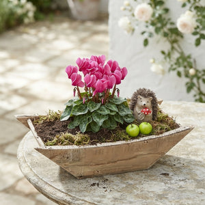 Vaiana Outdoor Plant Arrangement in Wooden Boat – 43cm