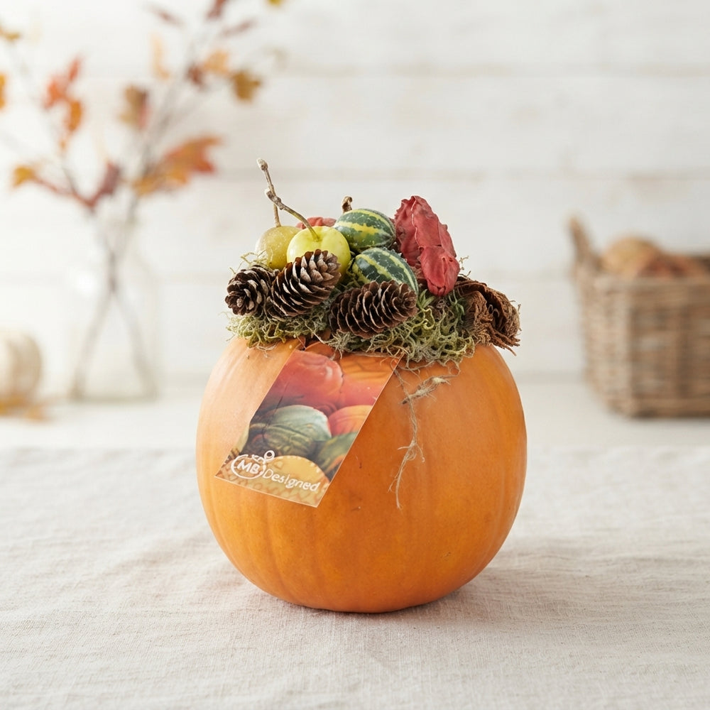 Decorative Pumpkin Arrangement – 15cm Pot