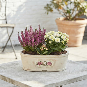 Outdoor Plant Arrangement in Wooden Pot – 35cm