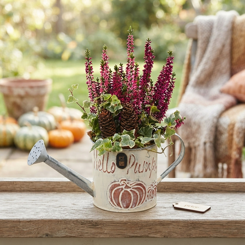 Autumn Plant Arrangement in Zinc Watering Can – 12cm