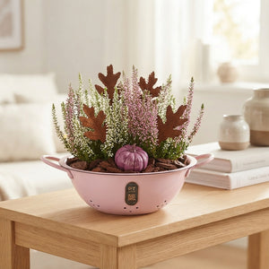 Garden Plant Arrangement in Zinc Pot – 36cm