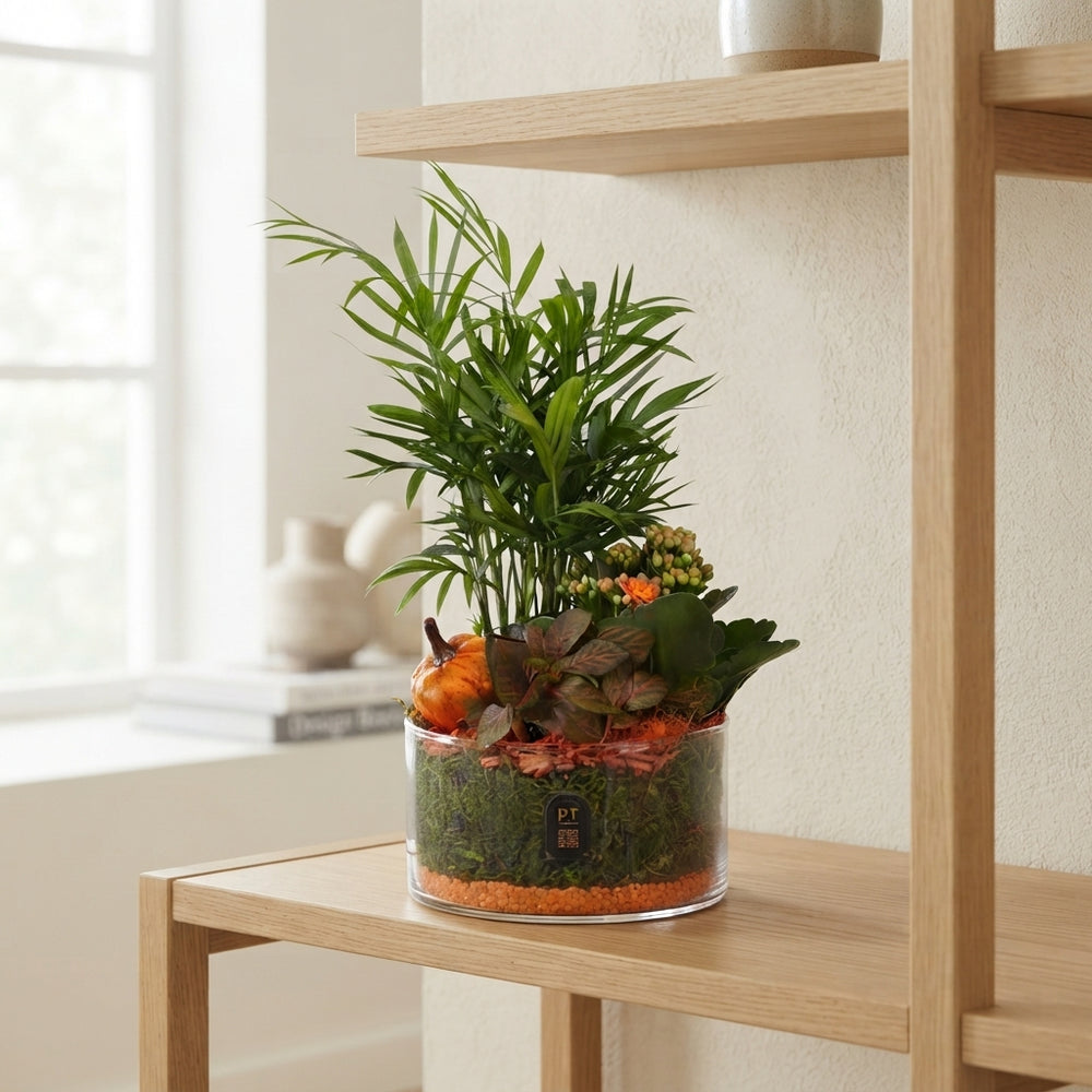 Autumn Glass Bowl Plant Arrangement – 15cm
