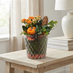 Autumn Plant Arrangement in Glass Vase – 12cm