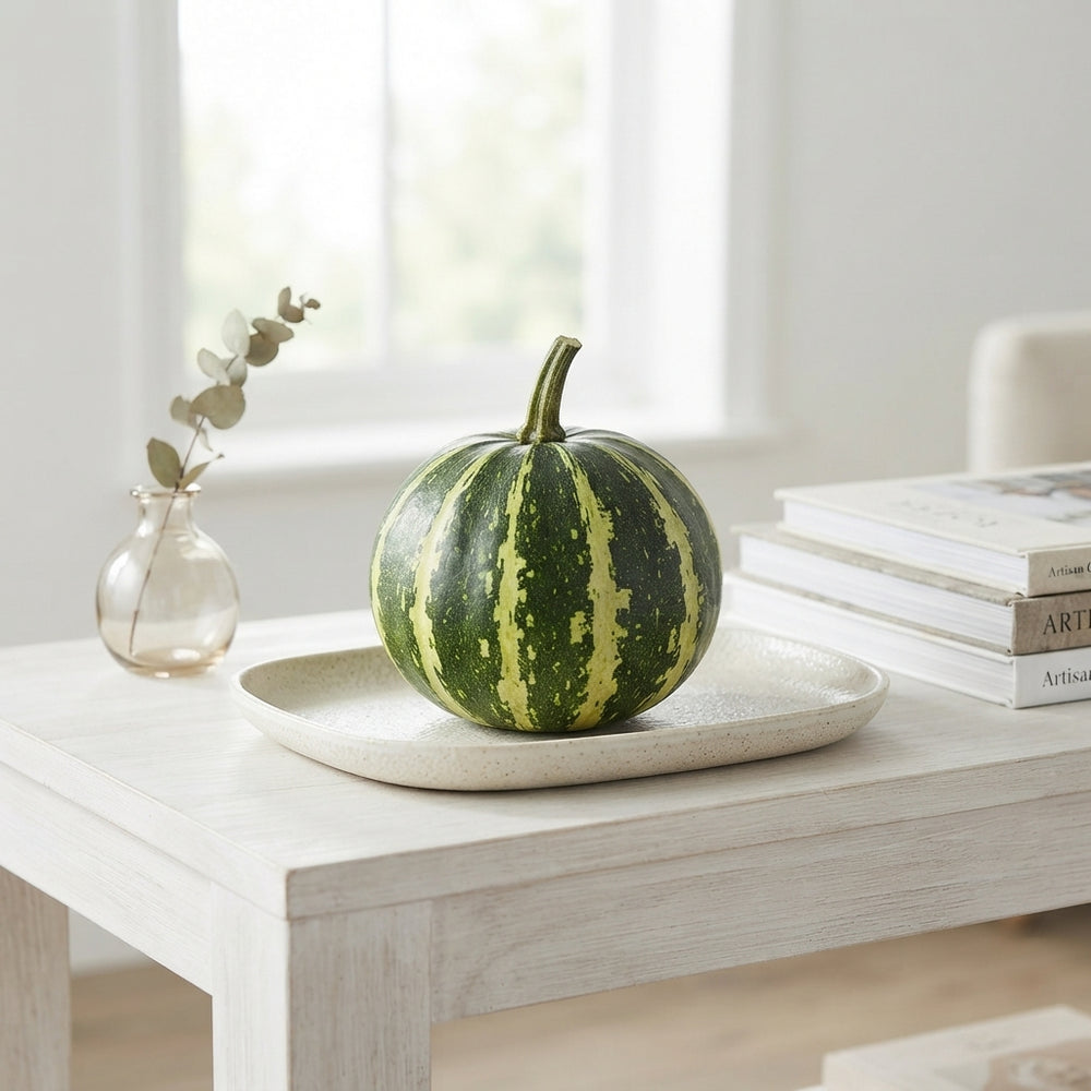 Decorative Ornamental Gourds – Cucurbita