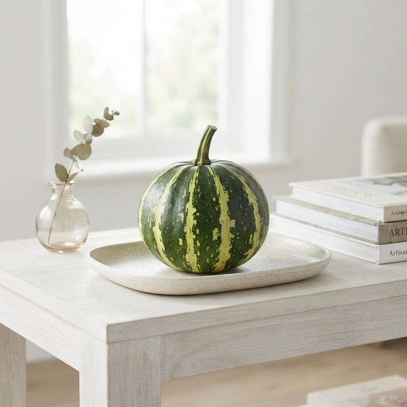 Decorative Ornamental Gourds – Cucurbita