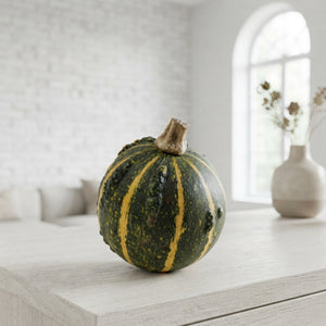 Ornamental Mini Pumpkin (Cucurbita pepo)