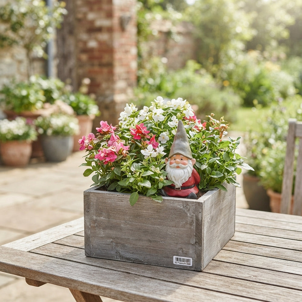 Outdoor Arrangement in Planter – 28cm
