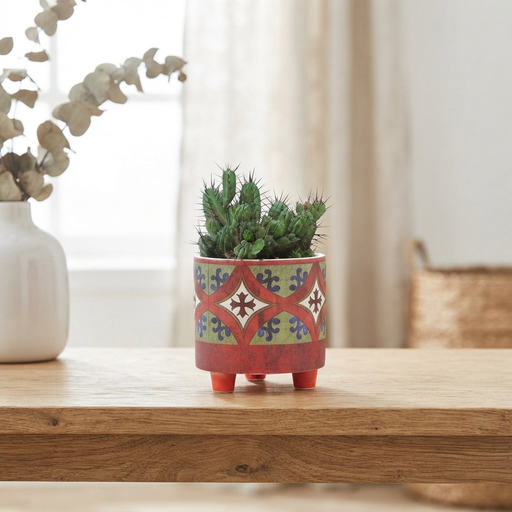 Mixed Cactus Collection in Ceramic Agadir Pot – 9cm