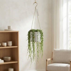 String of Pearls (Senecio rowleyanus) – 17cm Hanging Pot