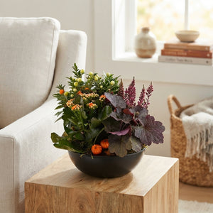 Mixed-Colour Arrangement in Black XL Bowl