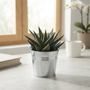 Mixed Colour Arrangement – 6 Stems