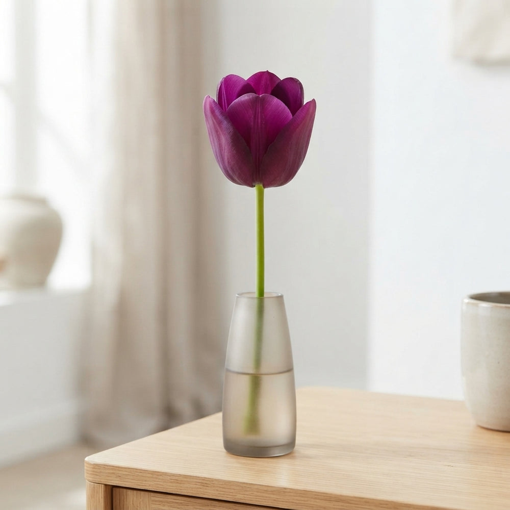Tulipa ‘Purple Heart’ Tulip Bulbs – 12+ Bulb Size