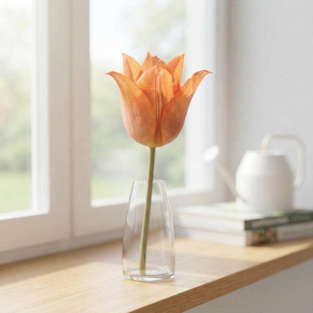 Tulip Triumph Flower Bulbs – Size 12/+