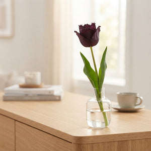 Tulipa Garden Moneymaker Flower Bulbs – 12/+