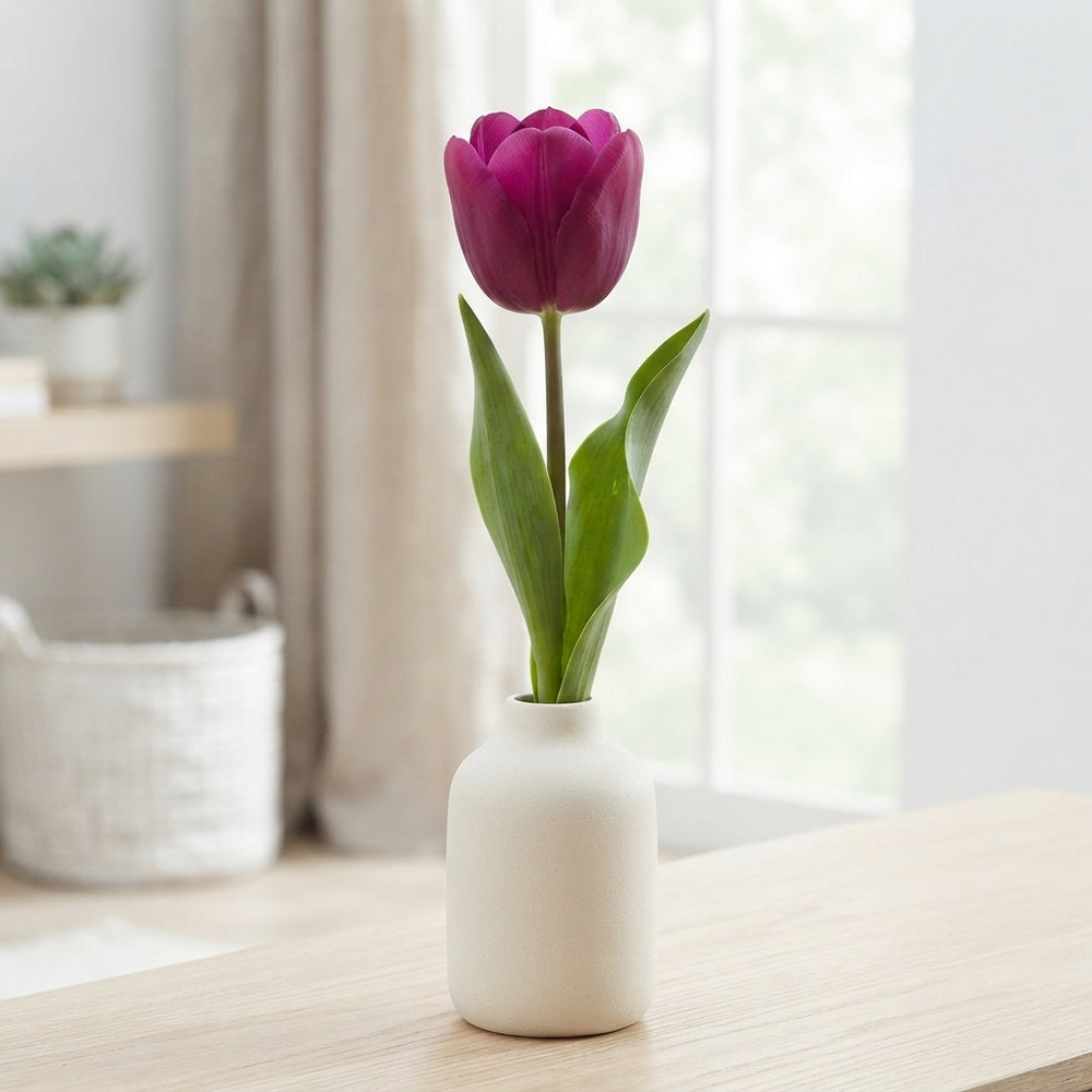 Garden Powerful Tulip Bulbs – 12/+ Bulb Size