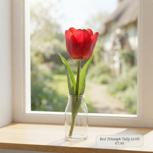 Tulipa ‘Garden Feeling Love’ Tulip Bulbs – Pack of 10