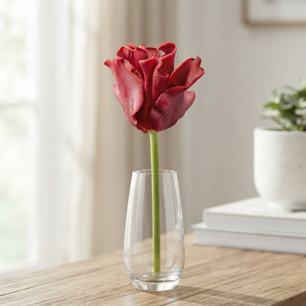 Tulipa 'Crown Red Dress' Flower Bulbs – 7 Bulbs