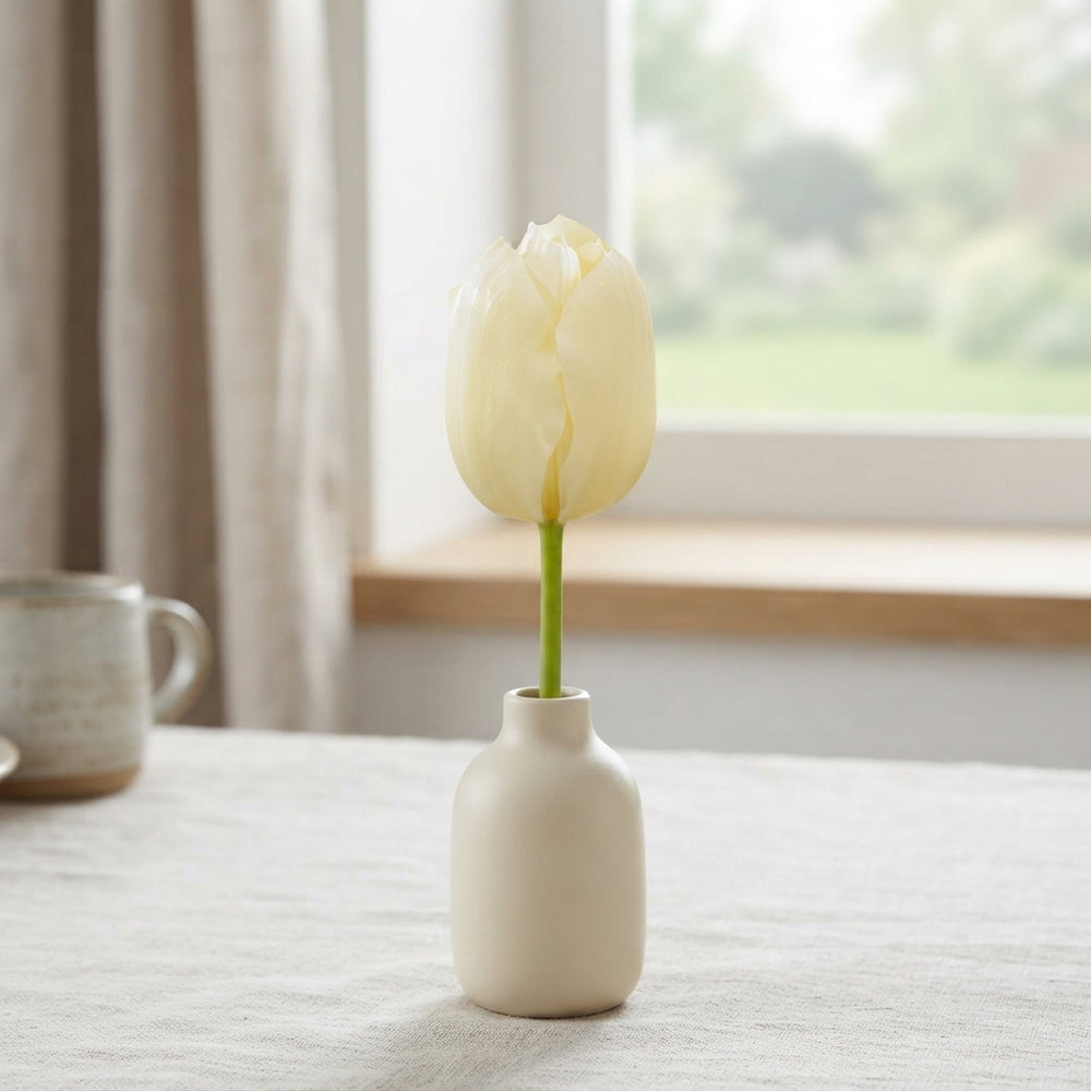Tulip ‘City of Vancouver’ Single Late Flower Bulbs – 12cm Bulbs