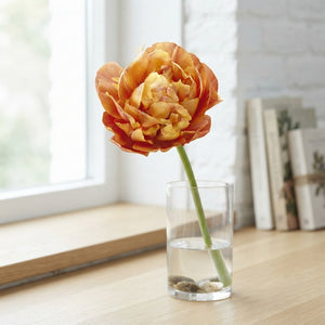 Tulipa ‘Valdivia’ Double Late Tulip Bulbs – 7 Bulbs
