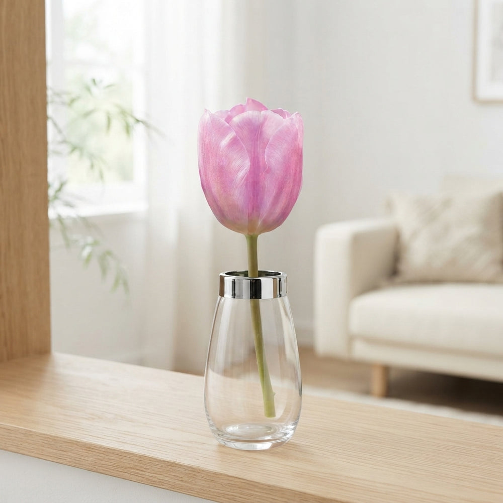 Tulipa Triumph ‘Synaeda Amor’ – Flower Bulbs