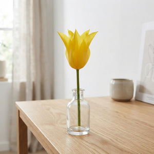 Tulipa Lily-Flowering Schiedam Flower Bulbs – 12cm+