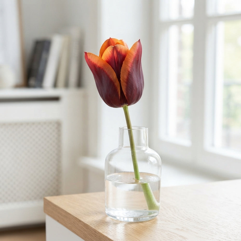 Tulipa Triumph ‘Muvota’ Tulip Bulbs – 7 Pack