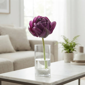 Tulipa ‘Negrita Double’ Double Late Tulip Bulbs – Size 12