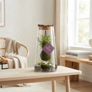 Triton Kokedama Terrarium – 17cm Glass Bowl