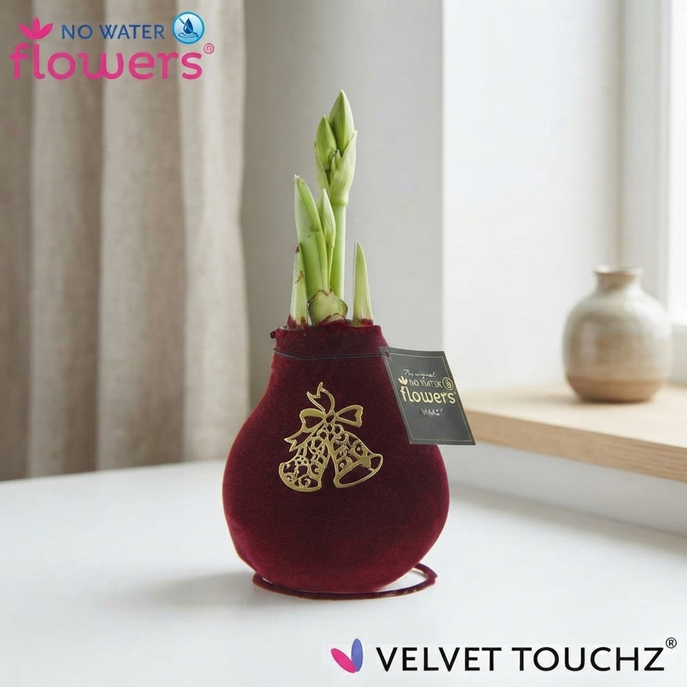 Velvet Touchz® Royal Gold Waxed Amaryllis