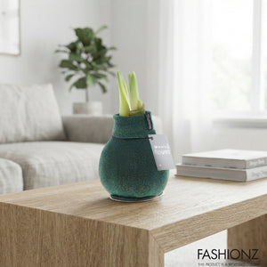 Waxed Hippeastrum ‘Fashionz Patternz Shine’