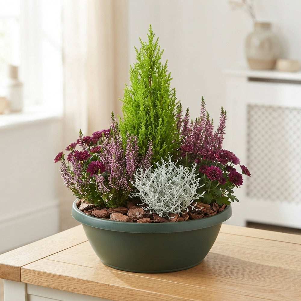Mixed Green Plant Arrangement – 4 Plants