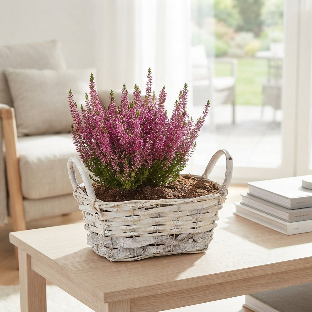 Mixed Colour Floral Arrangement – 4-Stem Display