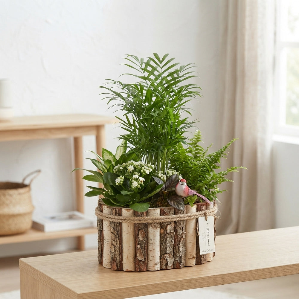 Mixed Colour Oval Wooden Arrangement