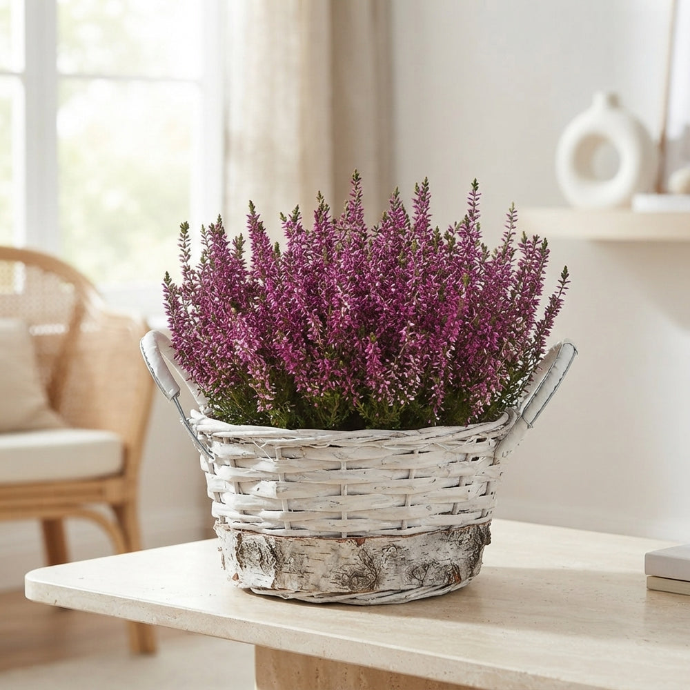 Mixed Colour Round Floral Arrangement