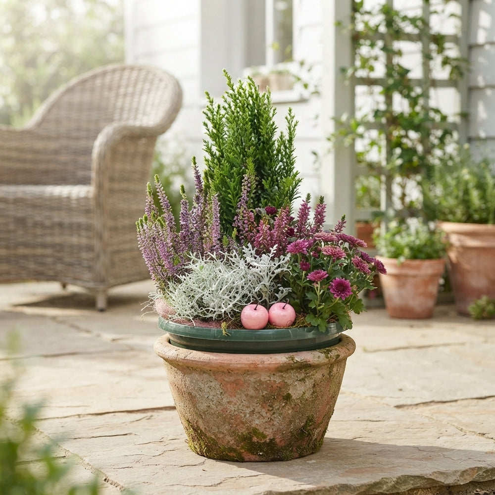 Mixed Green Plant Arrangement – 4 Plants