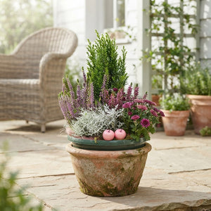Mixed Green Plant Arrangement – 4 Plants