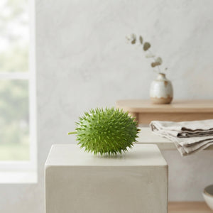 Ornamental Cucumis Decorative Fruit – Green