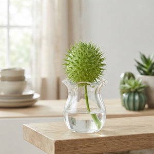 Decorative Green Cucumis Ornamental Fruit