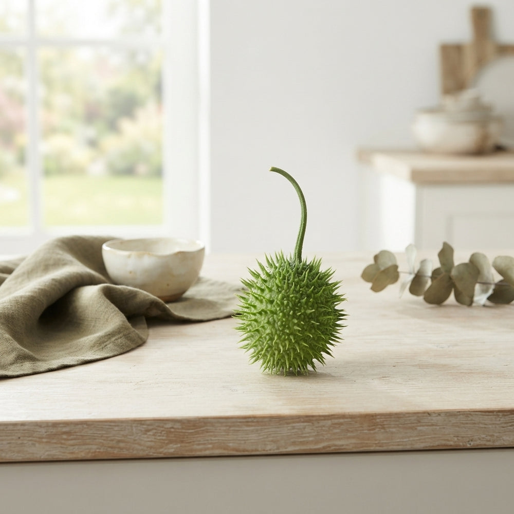 Decorative Green Cucumis Ornamental Fruit
