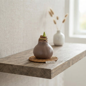 Taupe Wax Hipp Christmas Decoration – 20cm