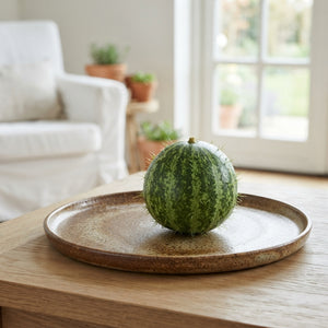 Ornamental Cucumis Mirio Brown Fruit