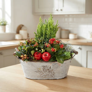 Oval Garden Plant Arrangement – 28cm Zinc Pot