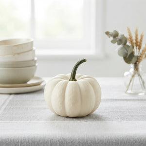 White Casperita Ornamental Pumpkin